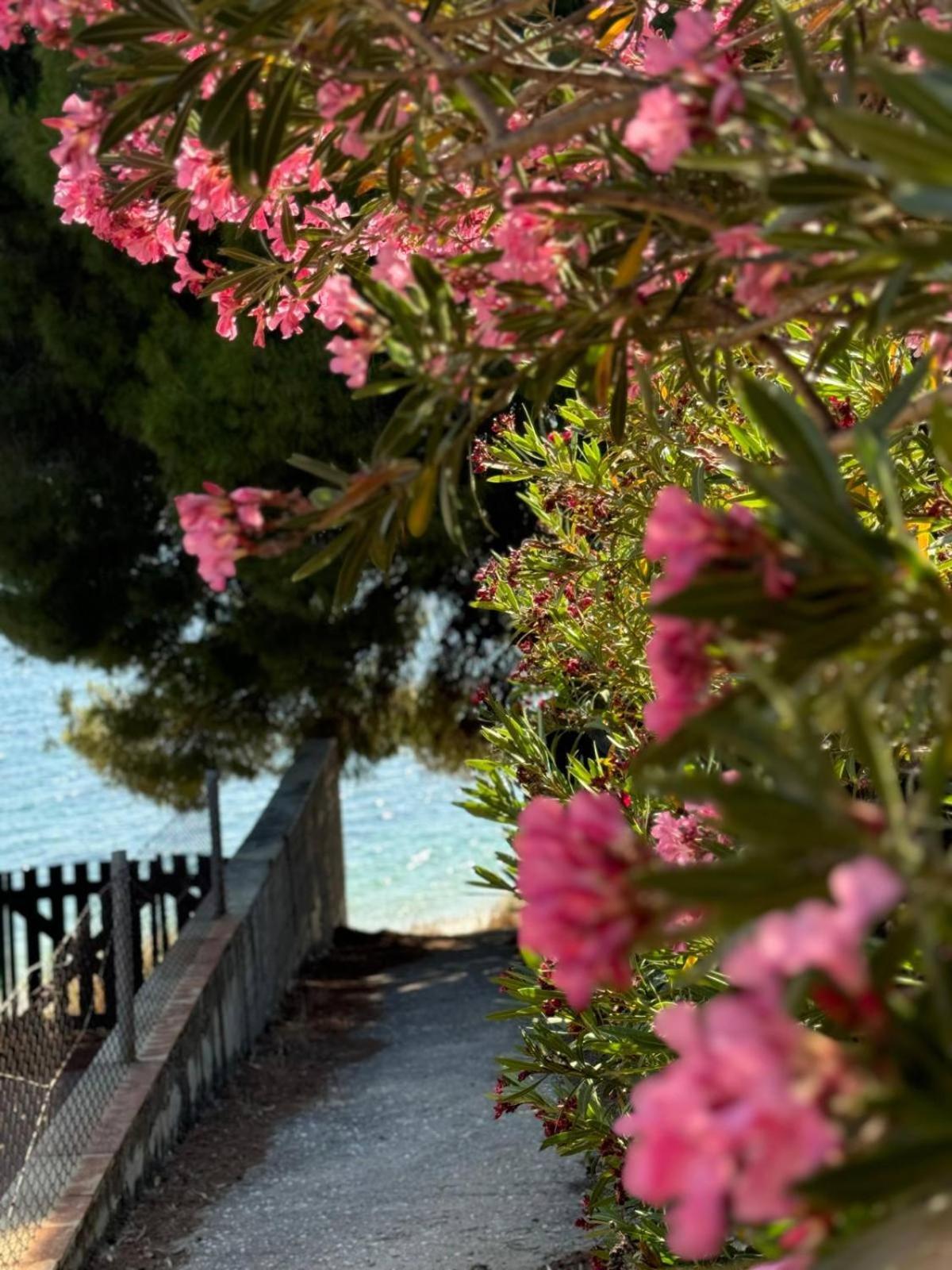 Villa Stadi Nikiti  Esterno foto