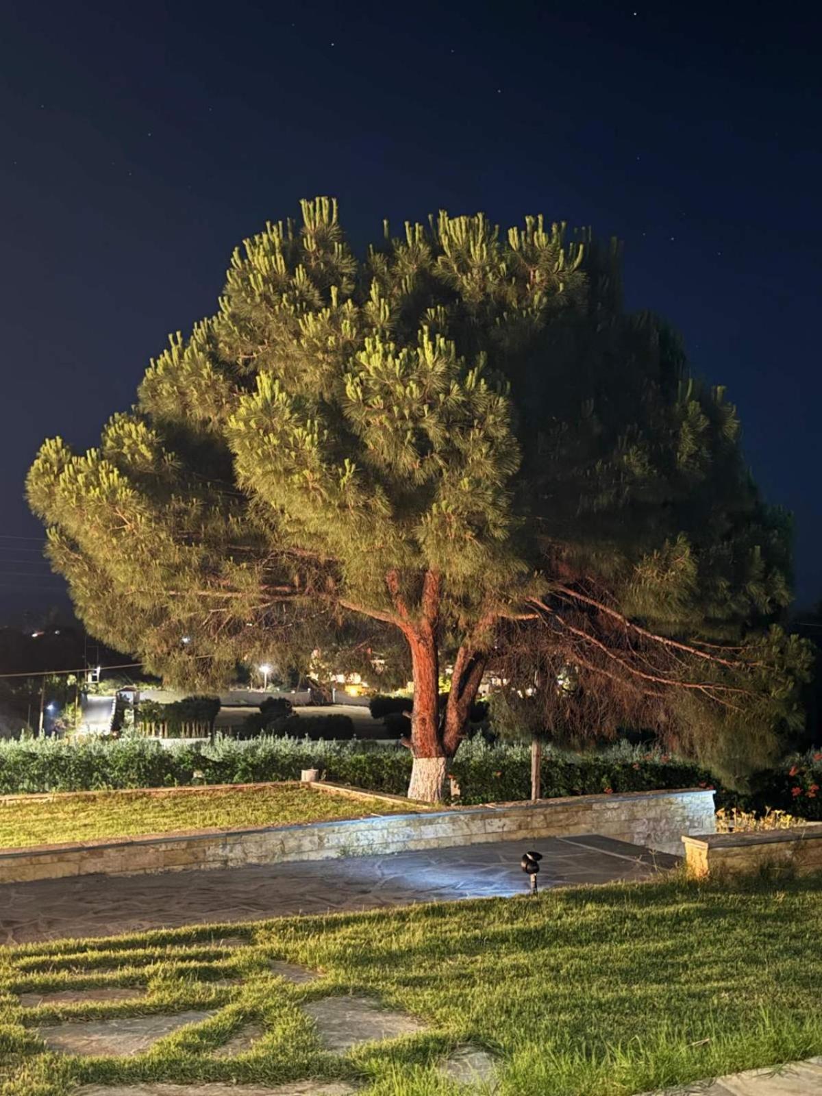 Villa Stadi Nikiti  Esterno foto
